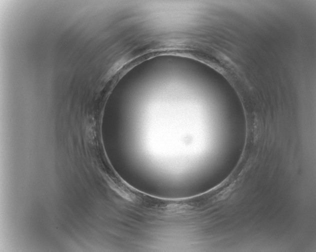 X0000056011449200509162331