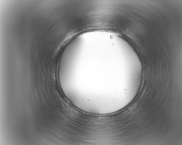 X0000056011451200509162331