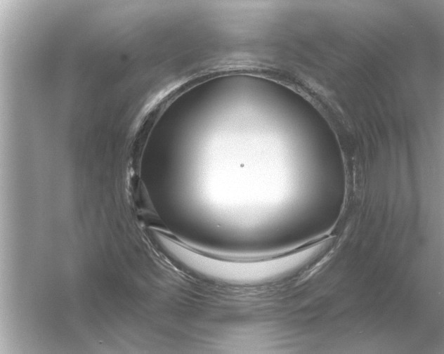 X0000056011453200509162331