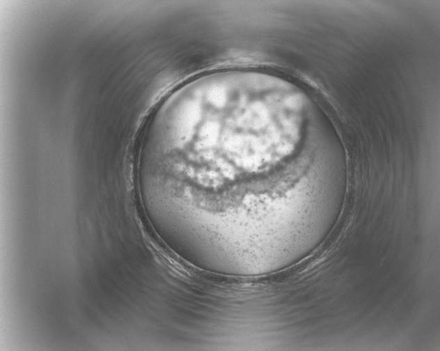 X0000056011459200509162331