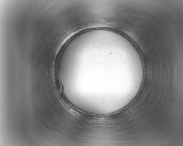 X0000056011460200509162331