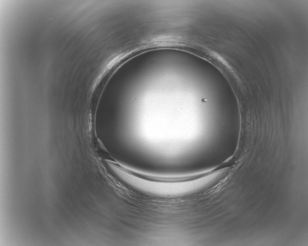 X0000056011461200509162331