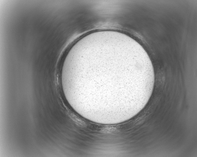 X0000056011462200509162331