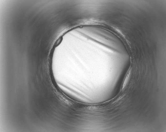 X0000056011463200509162331