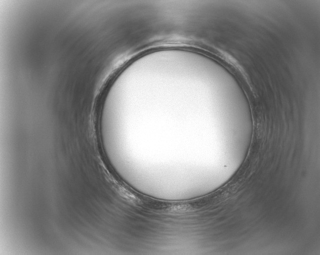 X0000056011464200509162331