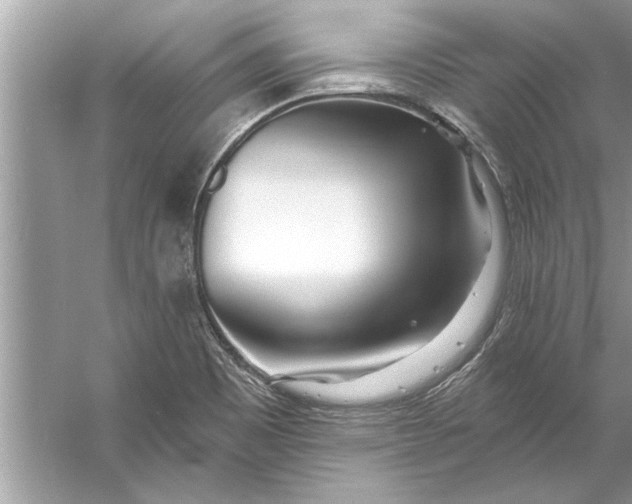 X0000056011465200509162331