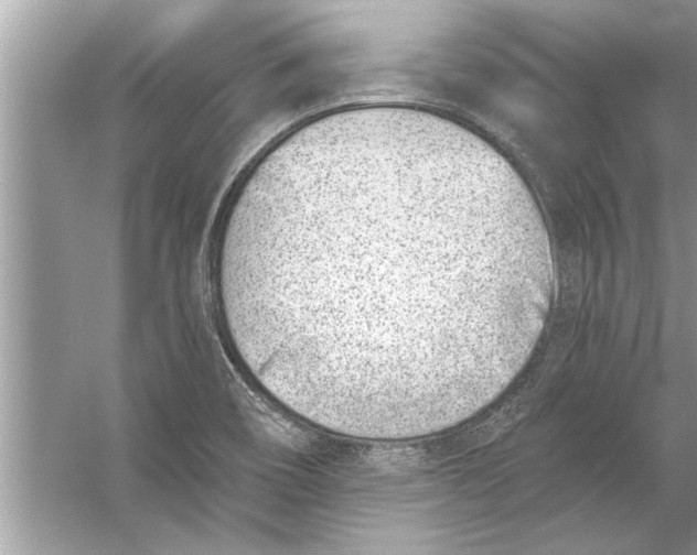 X0000056011466200509162331