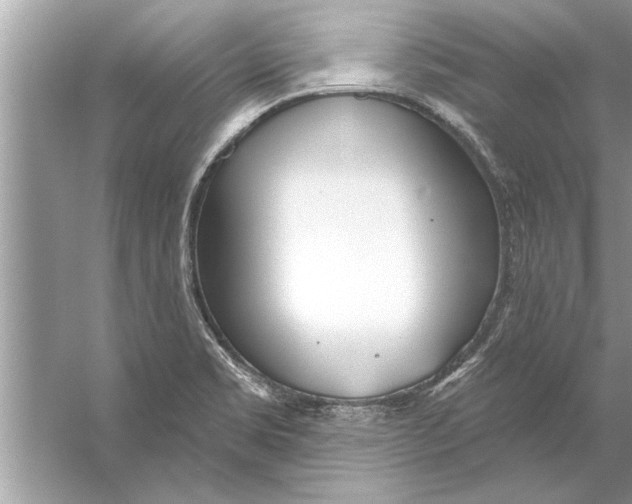 X0000056011469200509162331