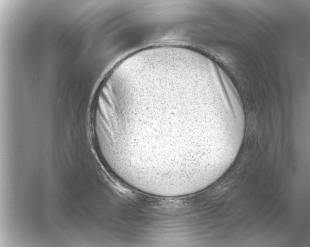 X0000056011470200509162331