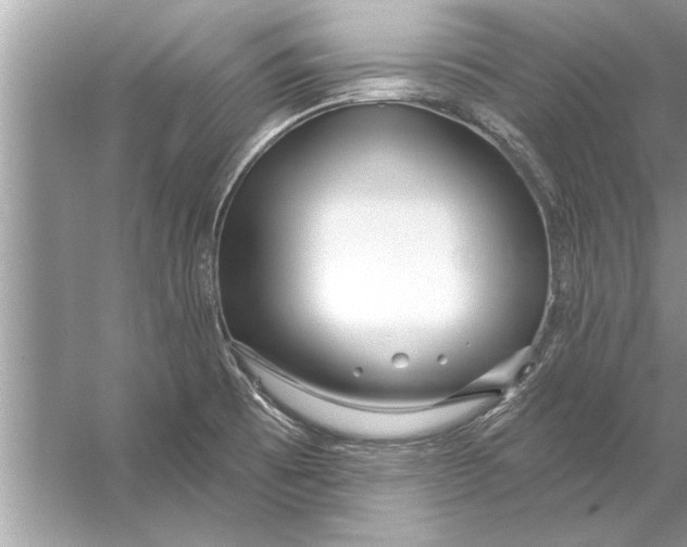 X0000056011473200509162331