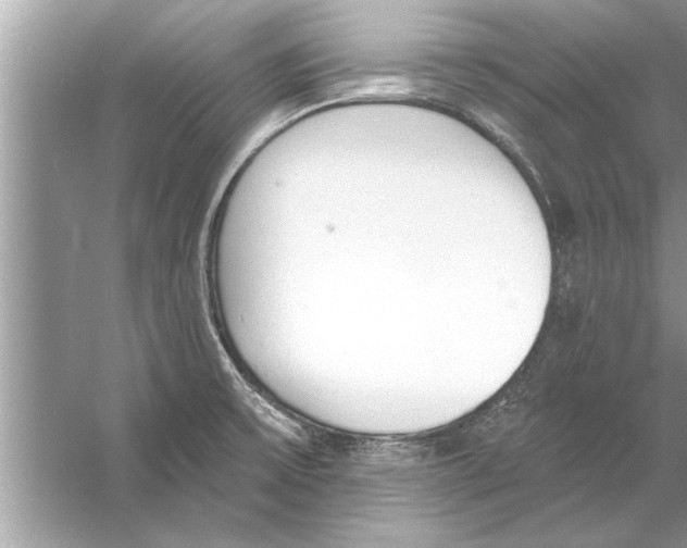 X0000056011475200509162331