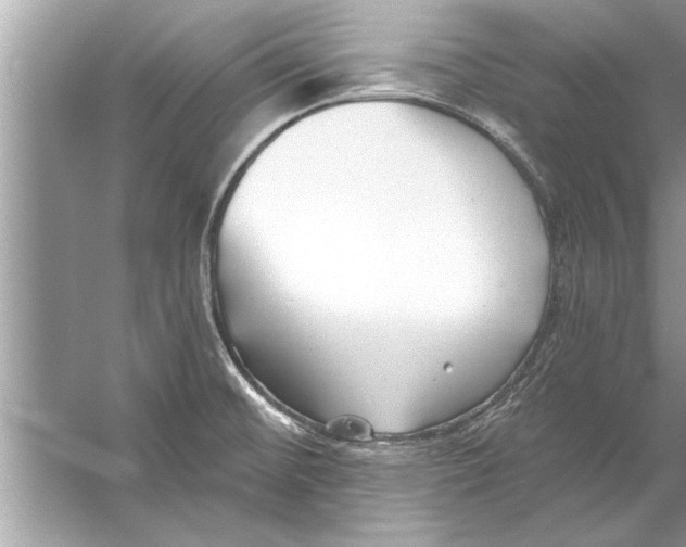 X0000056011476200509162331