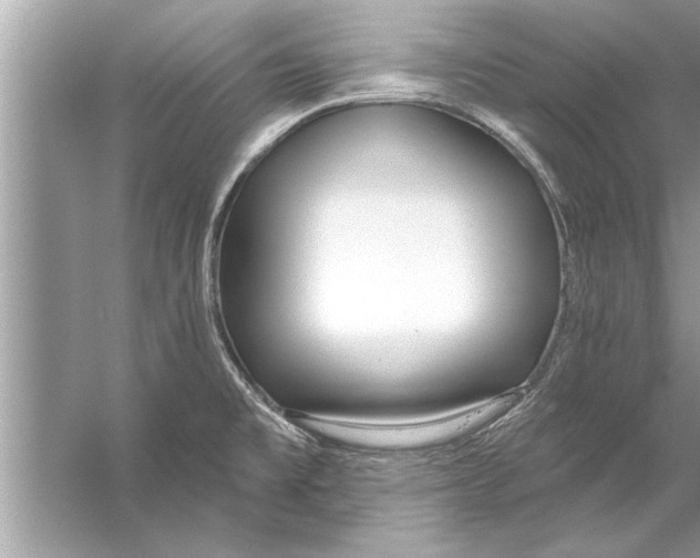 X0000056011477200509162331