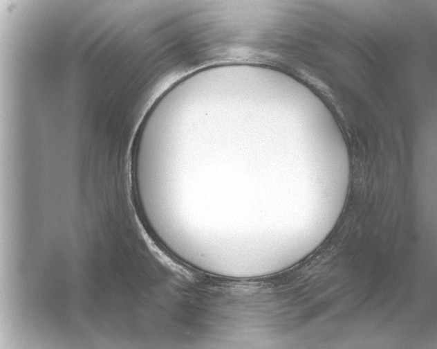 X0000056011479200509162331