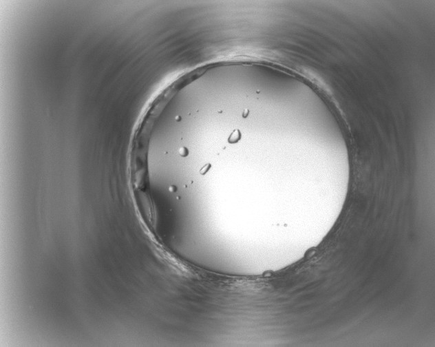 X0000056011480200509162331