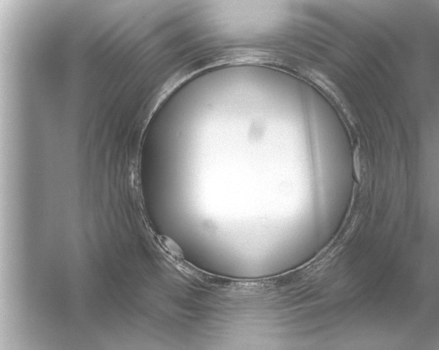 X0000056011481200509162331