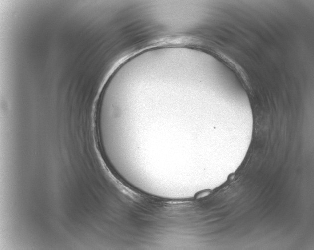 X0000056011483200509162331