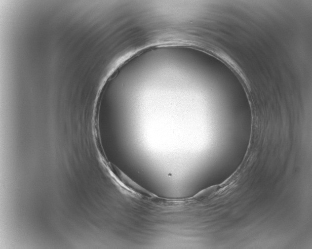 X0000056011485200509162331