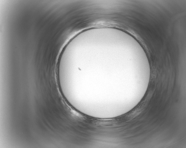 X0000056011486200509162331