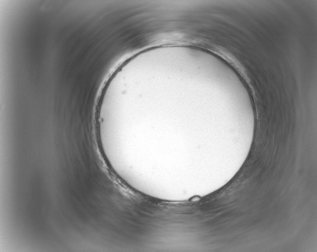 X0000056011488200509162331