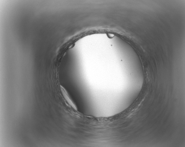 X0000056011494200509162330