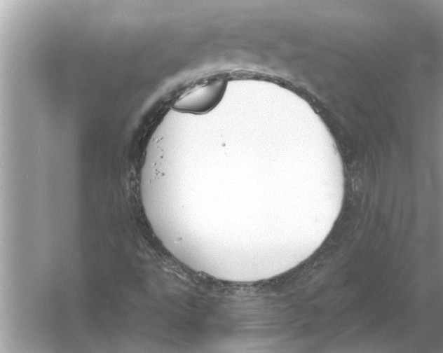 X0000056011495200509162330