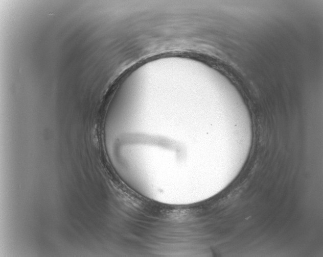 X0000056011497200509162330