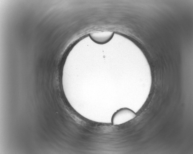 X0000056011498200509162330