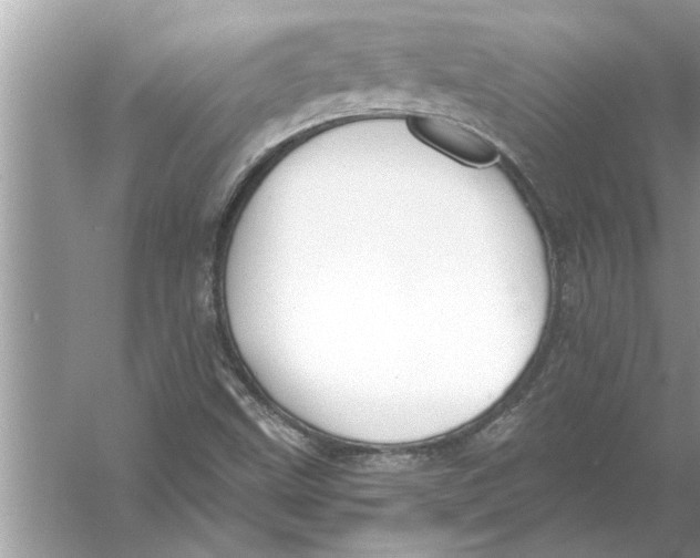 X0000056011499200509162330