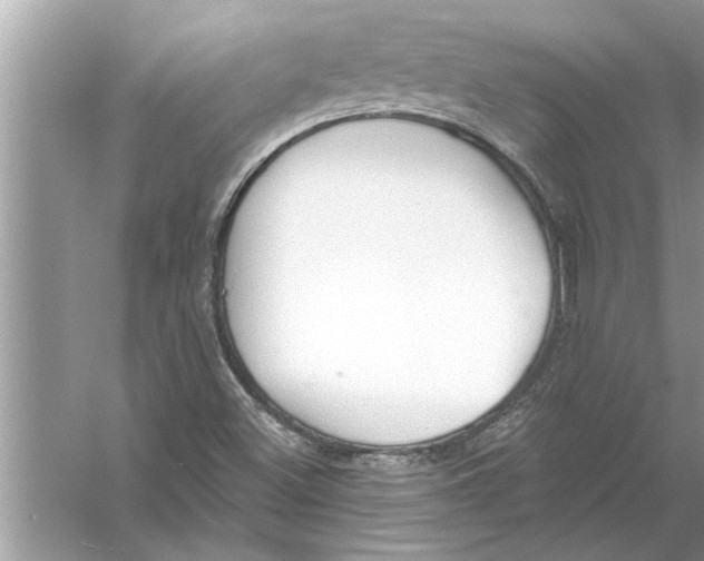 X0000056011500200509162330