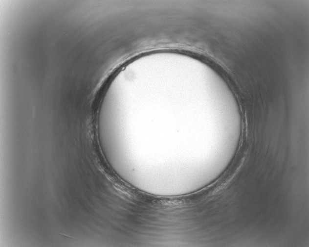 X0000056011501200509162330