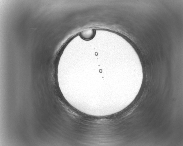 X0000056011502200509162330