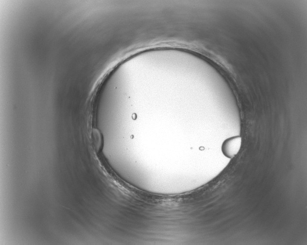 X0000056011504200509162330