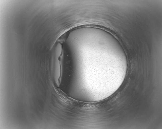 X0000056011505200509162330