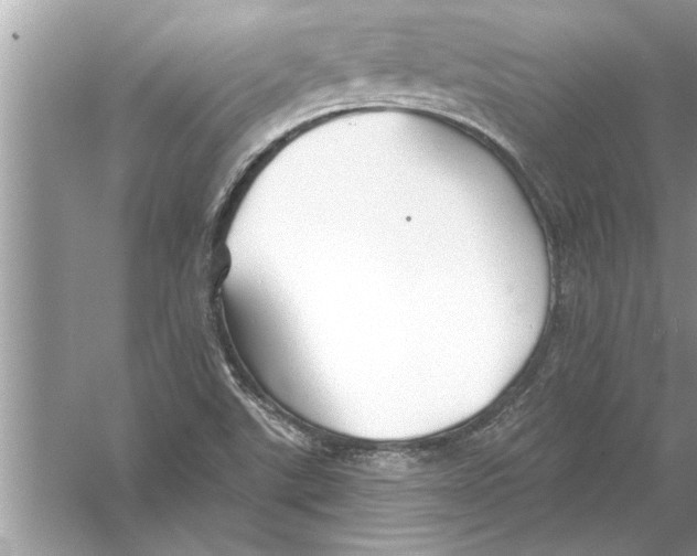 X0000056011507200509162330