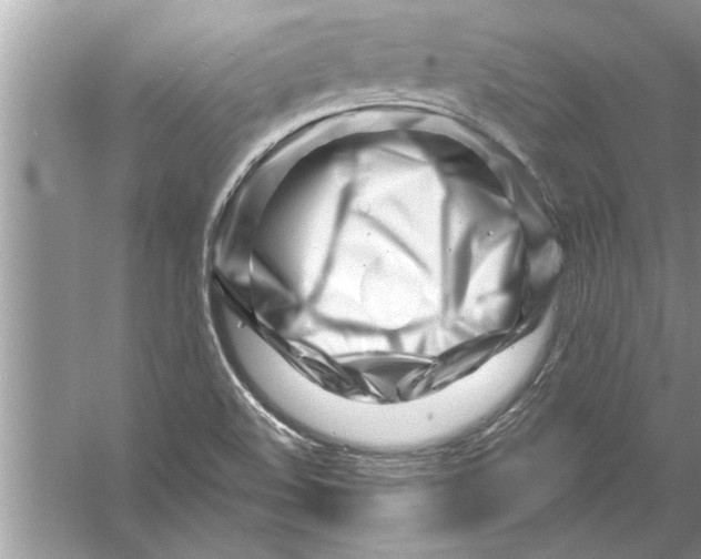 X0000056011508200509162330