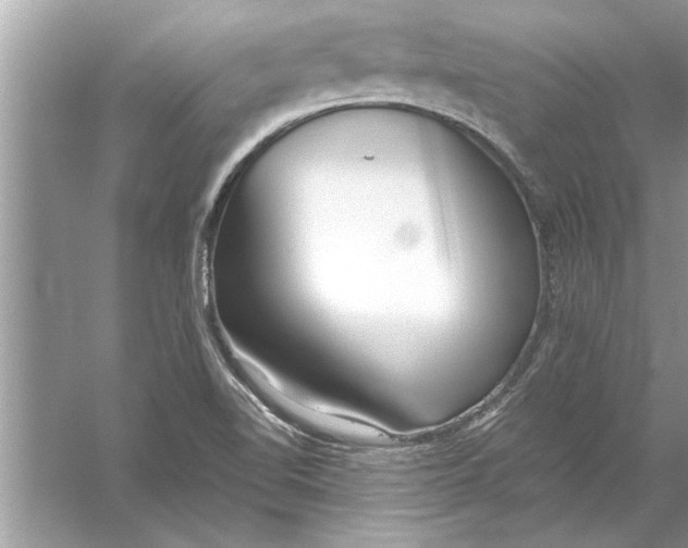 X0000056011510200509162330