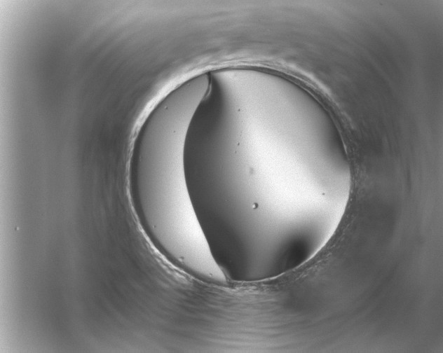 X0000056011512200509162330