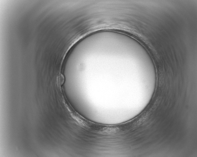 X0000056011513200509162330