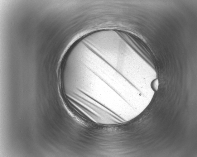 X0000056011515200509162330