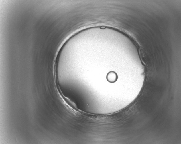 X0000056011516200509162330