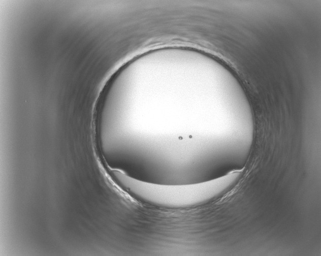 X0000056011518200509162330