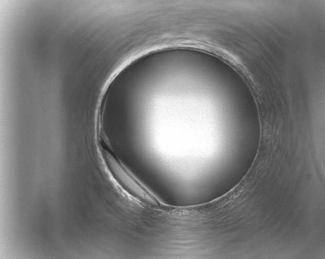 X0000056011520200509162330