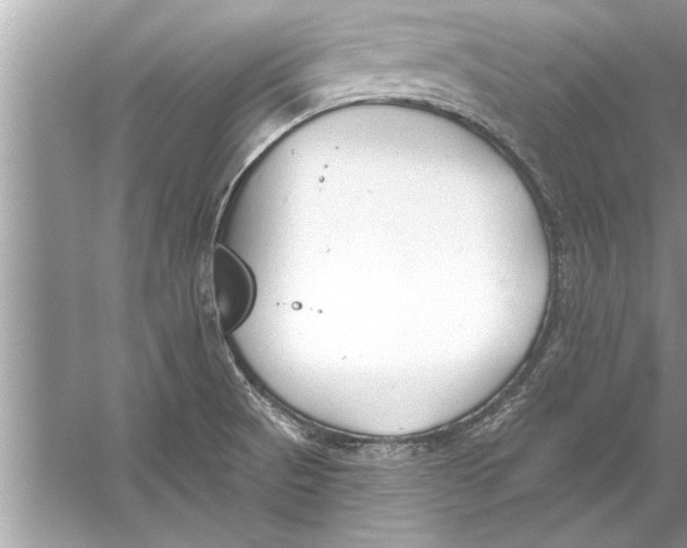 X0000056011521200509162330