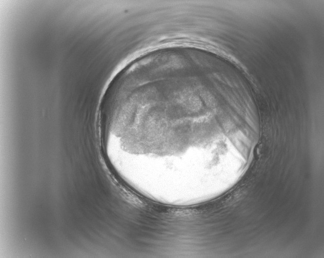 X0000056011522200509162331