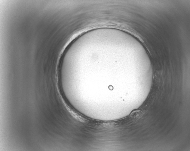 X0000056011523200509162331