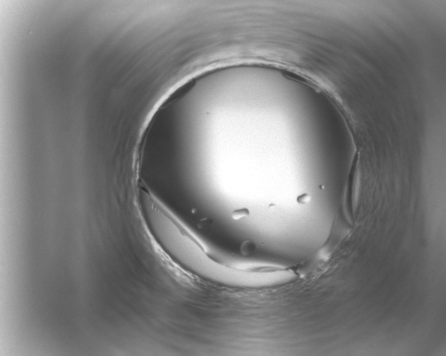 X0000056011524200509162331