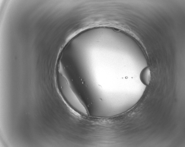 X0000056011525200509162331