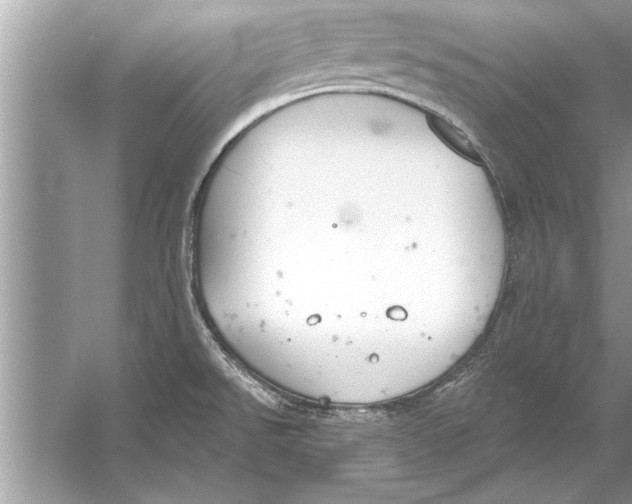 X0000056011526200509162331