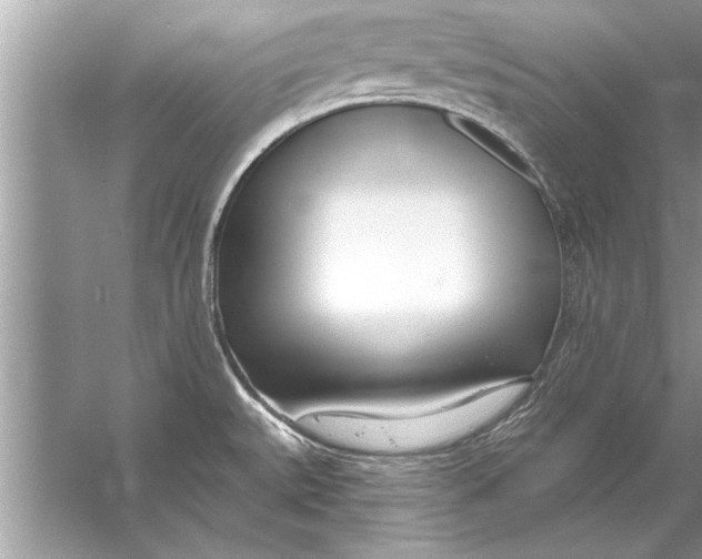 X0000056011527200509162331